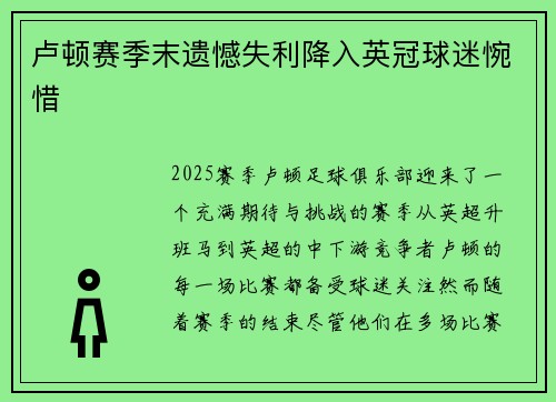 卢顿赛季末遗憾失利降入英冠球迷惋惜